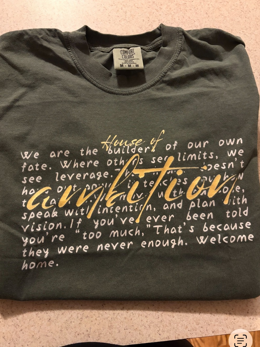 Slytherin- House of Ambition T shirt, Medium
